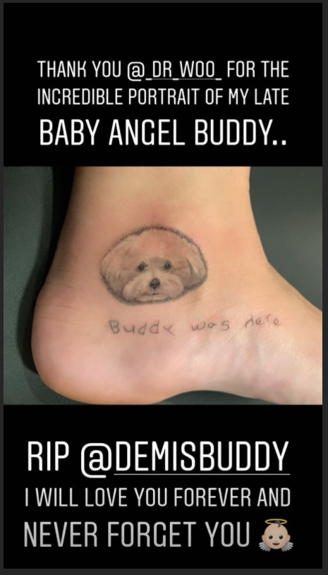 Demi Lovato Instagram Story