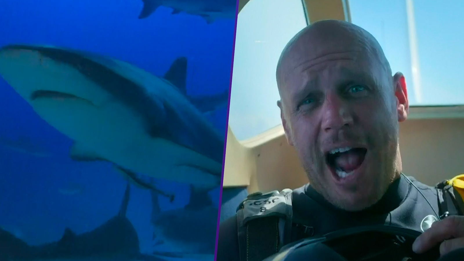 Shark Attack Survivor Bravely Parachutes Into SharkInfested Waters