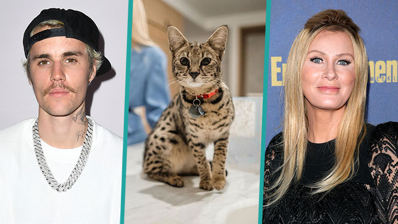 Justin And Hailey Bieber Thankful That Sandra Lee Found Their Cat