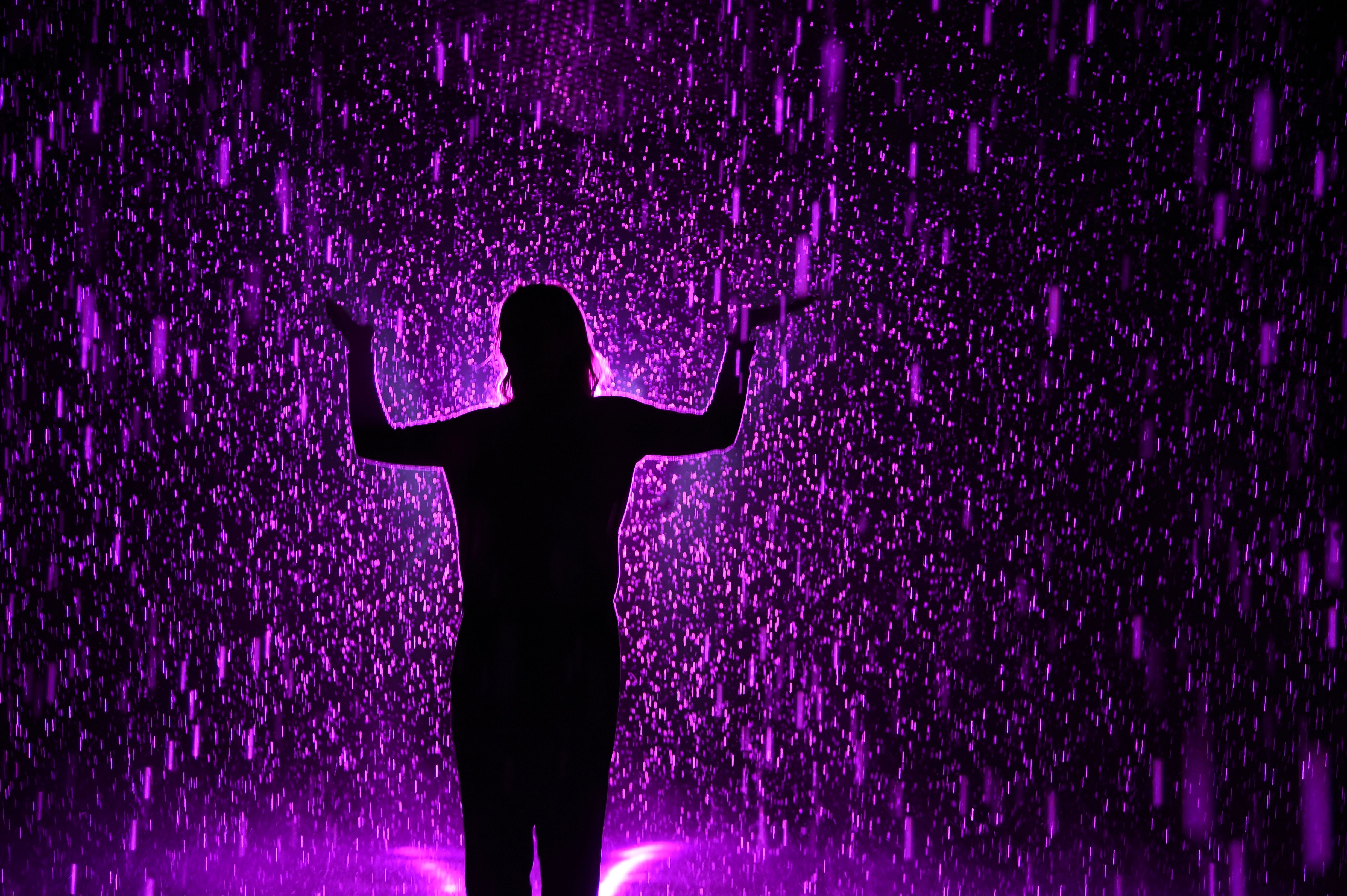Prince Tributes From Around The World Access Online