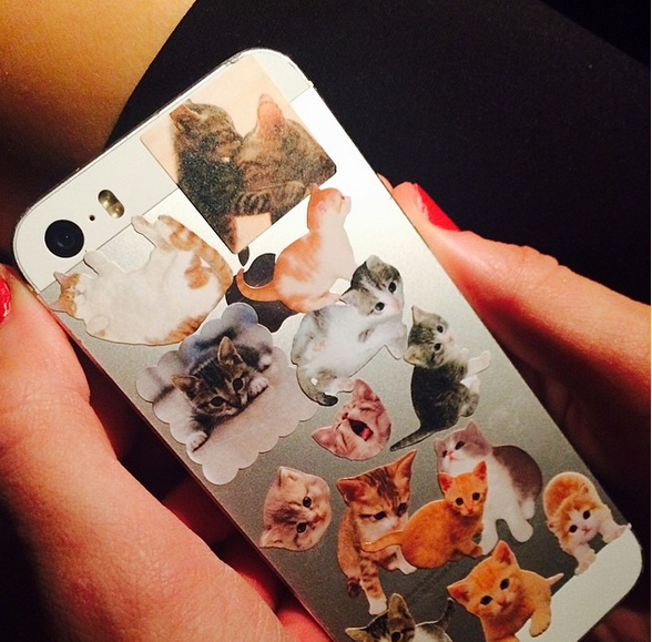 Taylor Swift Cat Stickers